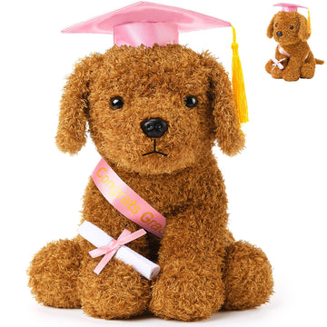 Chalyna 10 Inch Graduation Season Dog Preschool Plush Stuffed Animal Kindergarten Graduation Puppy with Hat, Diploma and Sash, P