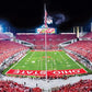 Masterpieces - 1000 Piece Jigsaw Puzzle, Ncaa Ohio State Buckeyes, Panoramic Football Stadium View, Fun For Adults And Family, 1