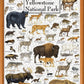 Masterpieces 1000 Piece Jigsaw Puzzle For Adults, Family, Or Youth - Mammals Of Yellowstone National Park - 19.25' X26.75
