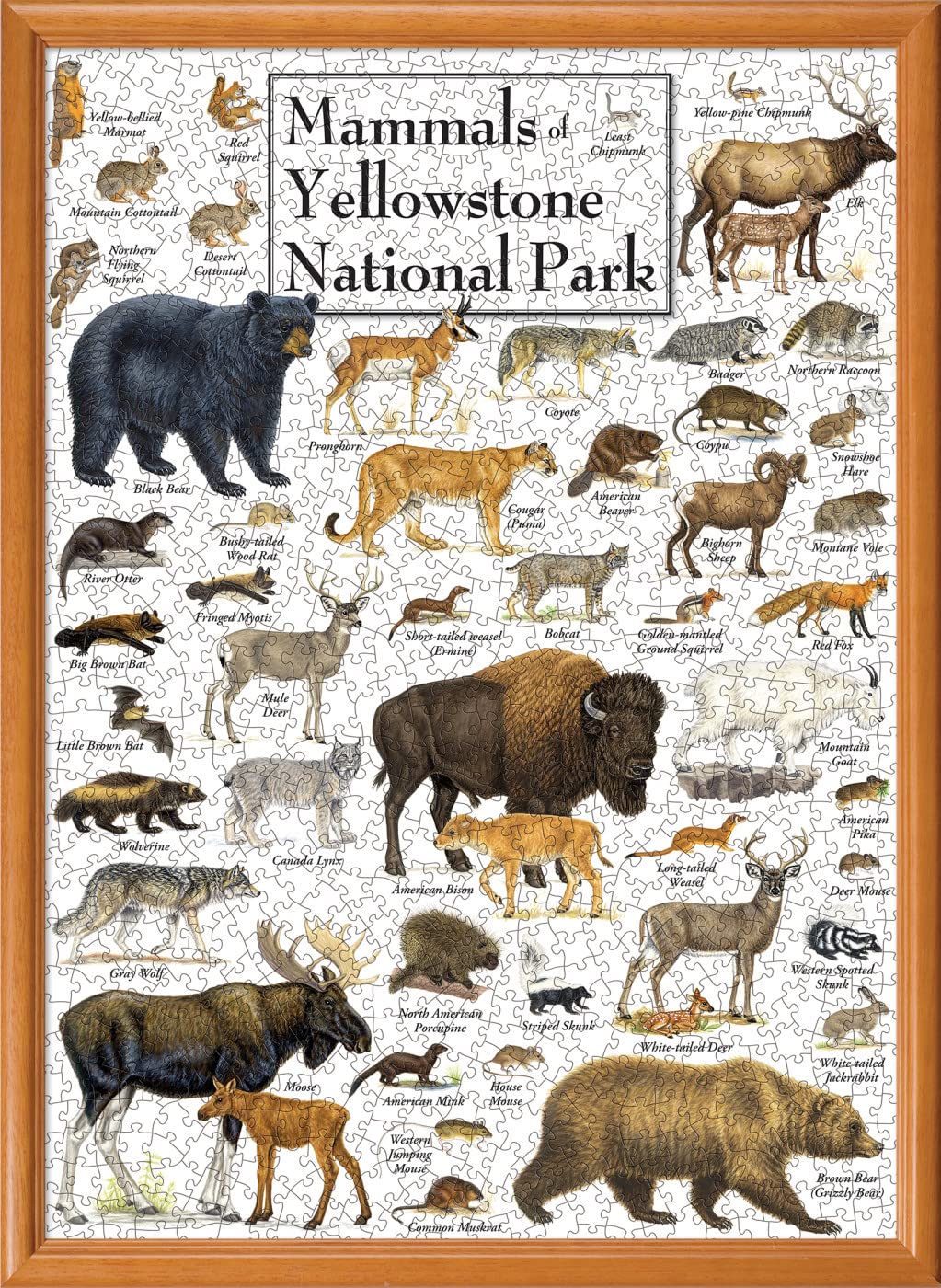 Masterpieces 1000 Piece Jigsaw Puzzle For Adults, Family, Or Youth - Mammals Of Yellowstone National Park - 19.25' X26.75