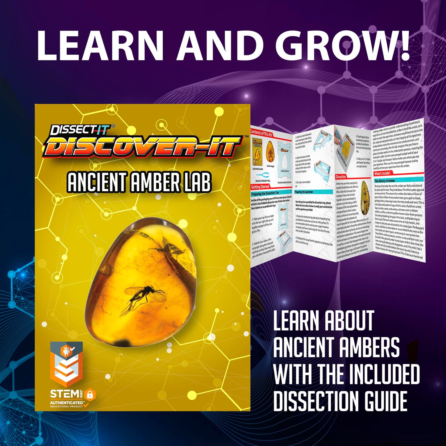 Top Secret Toys Discover-It Dissection Kit For Kids, Synthetic Amber Science Lab Kit To Learn About Insects, Science Toys For Ki