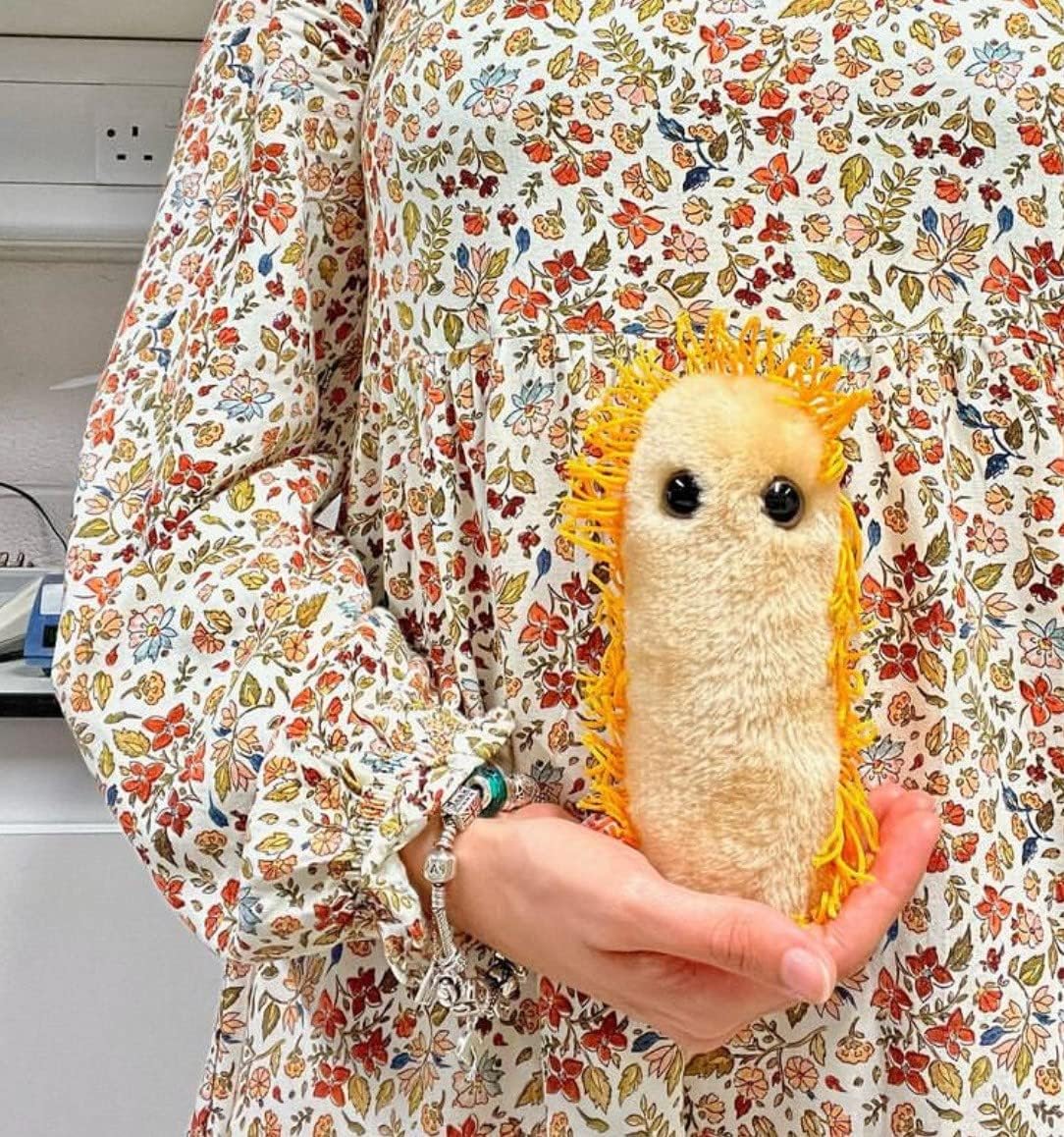 GIANTmicrobes Stomach Ache Plush Toy - Berry Color, Fun Educational Gift for Health Professionals and Humor Lovers, Model GMD0730