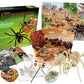 Extreme Science Kit Spiders Of The