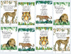 Silly Goose Gifts Wild Jungle Cat Themed Valentines Day Card For Kids School Classroom Exchange (Set Of 24) Tiger Lion Leopard C