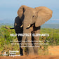 Follow Your Legend Timmy 9'' Baby Elephant Plushie With Milk Bottle - Adopt Me Plushies, Stuffed Animal, Cute Plushies