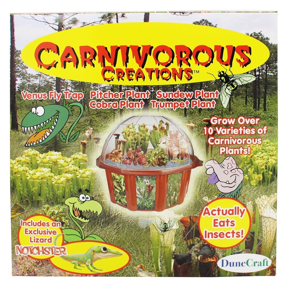Dunecraft Carnivorous Creations Dome Terrarium