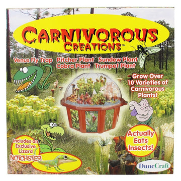 Dunecraft Carnivorous Creations Dome Terrarium