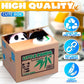 Coin Piggy Bank Panda Toy - Little Panda Bamboo Bank Money Bank Cute Panda Bank Stealing Automatic Box - Boys Piggy Bank Stealing Panda Coin Bank Money Savings Bank Kids Piggy Bank Girls