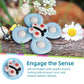 Likee Strong Suction Cup Fidget Spinnerz Sensory Bath Toys For Baby 12 18 Months Airplane Car Travel Table & Window Toys For 1 2 Years Old Toddler Boys And Girls (Insect-2)