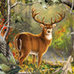 MasterPieces 1000 Piece Jigsaw Puzzle for mature-themeds  Family  Or Youth - Backcountry Buck - 19.25x26.75