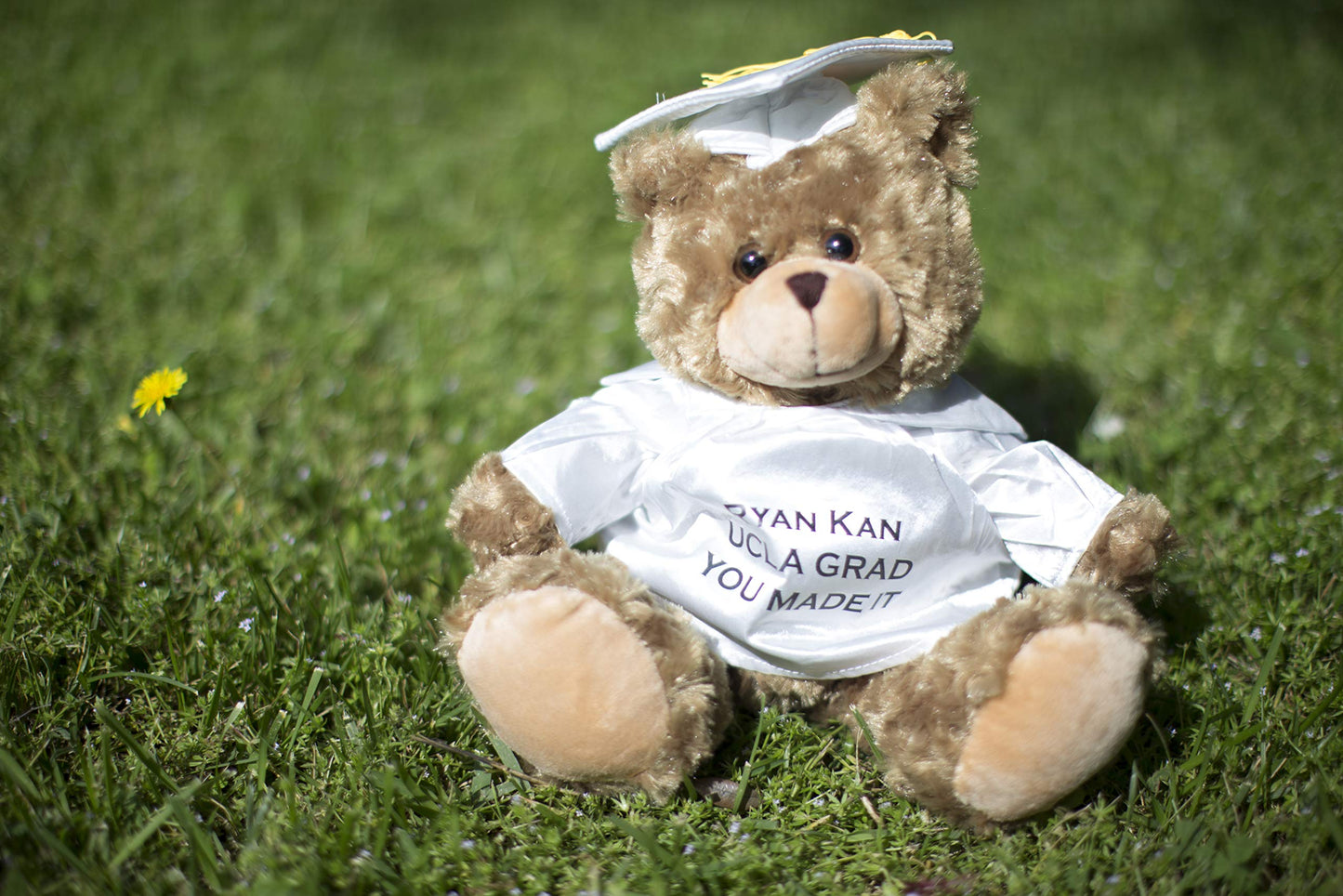 Plushland Plush Stuffed Animal Toys 12 Inches Present Gifts for Graduation Day  Personalized Text  Name or Your School Logo on Gown  Best for Any Grad School Kids (White Gown)