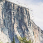 Beduke Jigsaw Puzzles 1000 Piece - Every Piece Is Unique - Yosemite National Park For Adults Thick Sturdy Cardboard Precise Interlocking Family Game Puzzle Age 14+