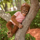 The Ashton-Drake Galleries Annabelle'S Hugs So Truly Real Poseable Lifelike Monkey Doll