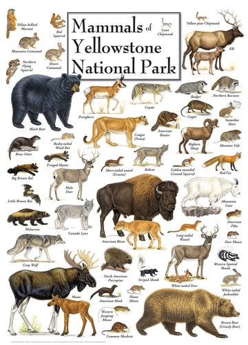 Masterpieces 1000 Piece Jigsaw Puzzle For Adults, Family, Or Youth - Mammals Of Yellowstone National Park - 19.25' X26.75