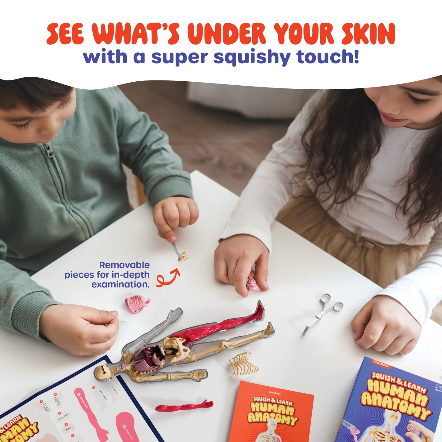 Human Anatomy Squishy Body Model - Science Kits For Kids Ages 4-8 - Stem Toys For 4 5 6 7 8 Year Old Boy Birthday Gift - Learnin