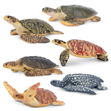 Toymany 6PCS Sea Turtle Figurines Set - Realistic Plastic Ocean Animals for Kids, Educational Toy, Cake Toppers, Birthday Gift