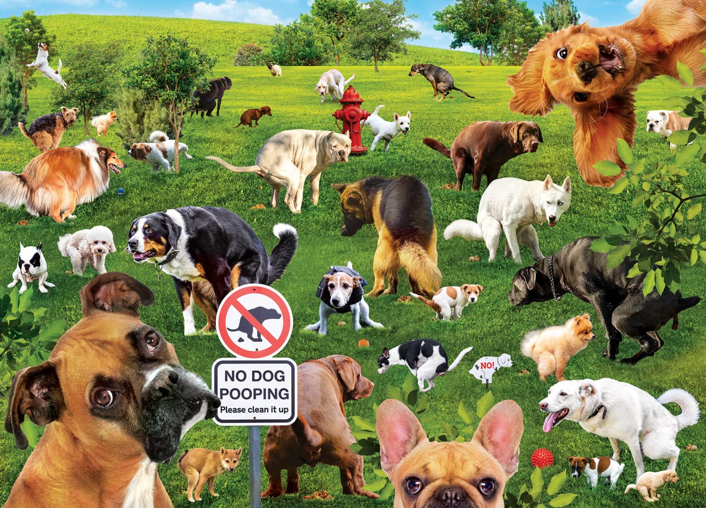 MasterPieces 1000 Piece Jigsaw Puzzle - Super Dooper Poopers, Cardboard, 19.25"x26.75", Model 72365 for Adults and Family