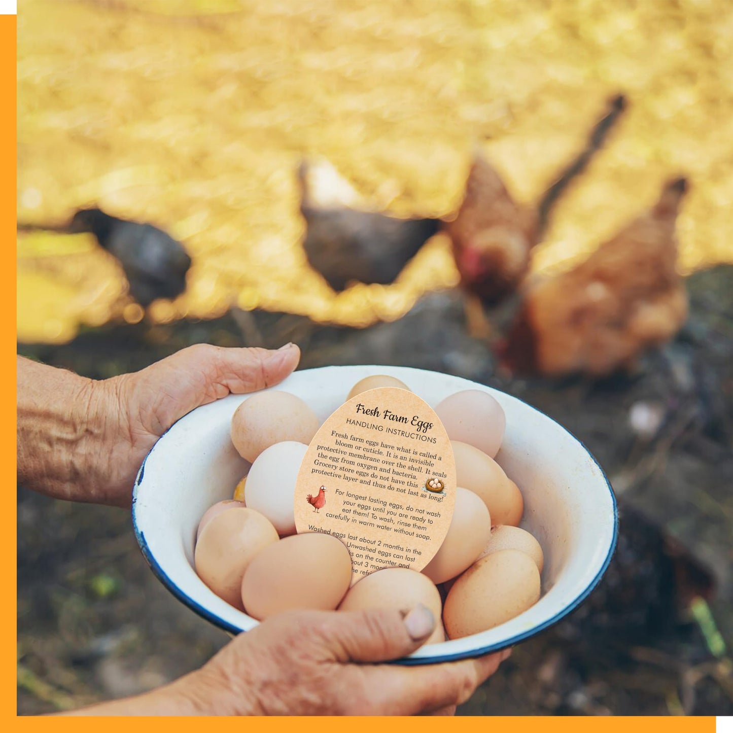 200 PCS Egg Handling Instruction Cards  Double-sided Printing Egg Carton Stamp Bulk Labels with Washed/Unwashed Fresh Eggs Care Accessories Card Label for Basket Farm Business Accessories (3.5 x 2.7 )