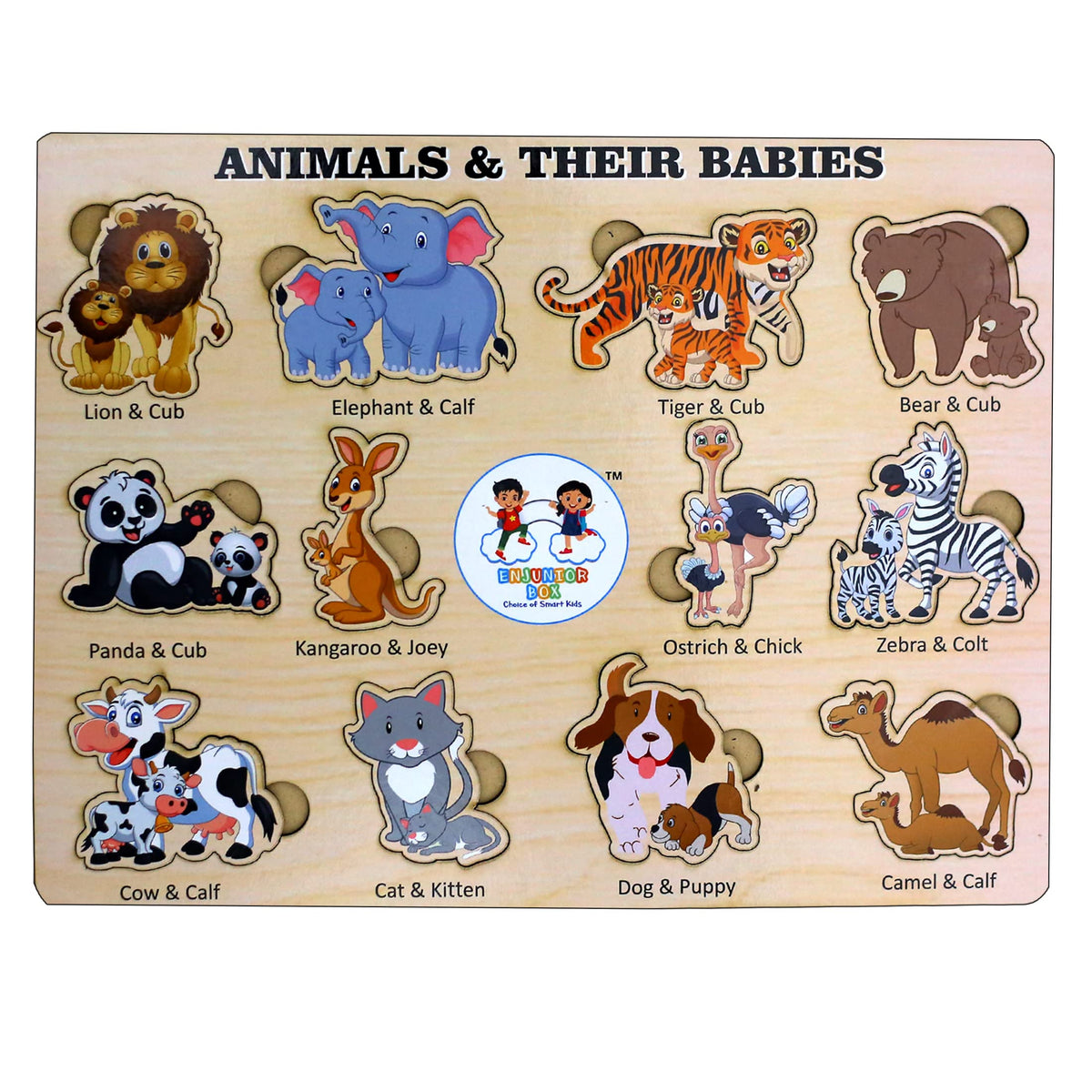 Enjunior Box  Animal Wooden Puzzle Without Knobs Educational And Learning Toy For Kids