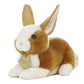 Aurora® Realistic Miyoni® Dutch Rabbit Stuffed Animal - Lifelike Detail - Cherished Companionship - Brown 8 Inches