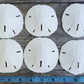 Sand Dollar | Real Sand Dollars 3 to 3 1/2 (Set of 6) | Sand Dollar Shells | Plus Free Nautical eBook by Joseph Rains
