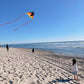 Kaiciuss Delta Kite & Reel Set, Double Delta Kites and Double 7.1 Wheels Included, String Spools Come with Safety Lock and 650 F