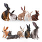 Toymany 12Pcs Bunny Figures Toys For Kids, Easter Rabbit Figures Farm Animal Toy For Cake Toppers Party Favors For Toddlers