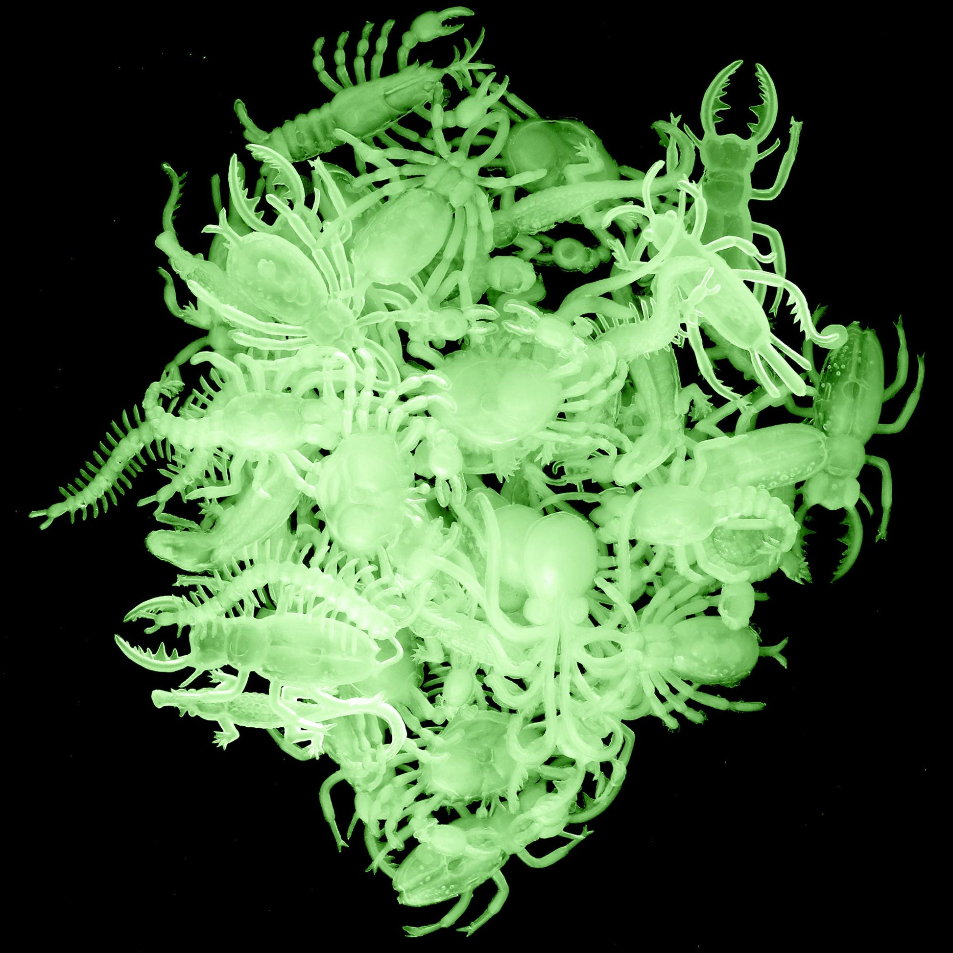Glow In The Dark Insects - 144 Pieces - Party Favor And Prank Toys - Assorted Reptiles And Bugs Toys – Great For Halloween, Birthday Parties, Piñatas, Prizes And More - By Skeleteen