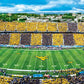 Masterpieces Sports Puzzle - Stadium Panoramic 1000 Piece Jigsaw Puzzle For Adults - West Virginia Mountaineers Ncaa Stadium Panoramics Center View - 13'X39'