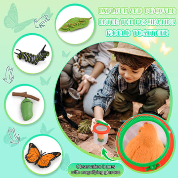 Life Cycle Learning & Education Toys, Montessori Toys Animal Toy Figurines For Frog, Butterfly, Chicken, Ladybug - Educational &