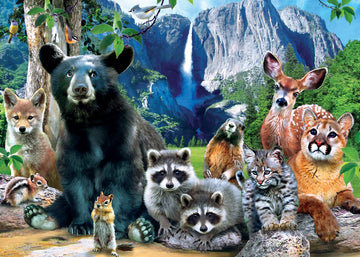 MasterPieces 500 Pieces Jigsaw Puzzle for mature-themeds  Family  Or Youth - Yosemite National Park - 15x21