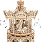 DIY Wooden Merry Go Round Puzzle