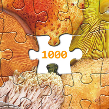 Mushroom Puzzle 1000 Piece Puzzle For Adults, Colorful Mushroom Jigsaw Puzzles, Shrooms In Bloom Toadstool Nature Plant Puzzle Rainbow Fungi Puzzles