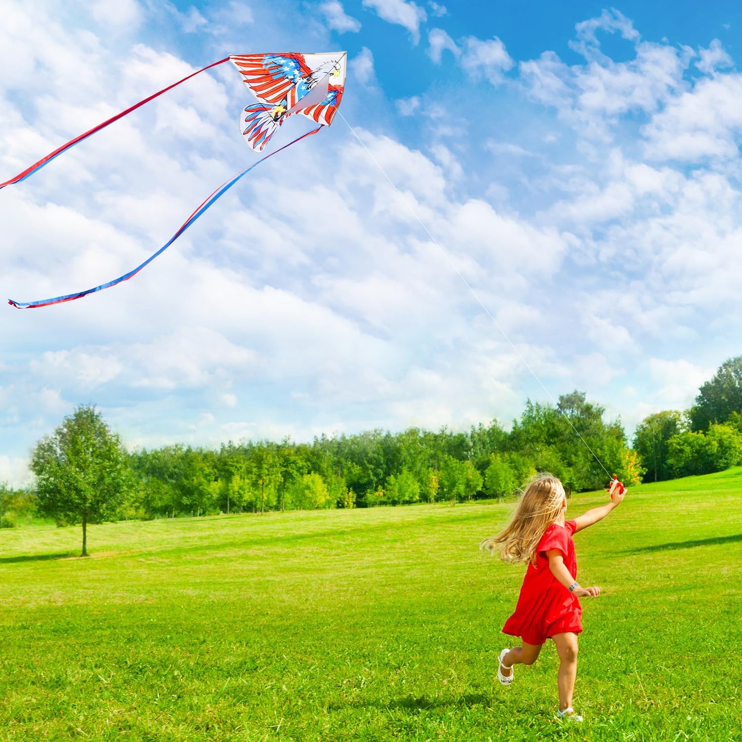 Honbo Eagle Kite, America Flag Kite For Kids And Adults. Wonderful Beginner Kite For Boys And Girls, Suitable For Ages 8-12, Bes