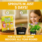 TickleMe Plant Classroom or Homeschool Science Fun Planting Party Kit - for 30 Students - Grow a Sensitive Plant That Reacts to