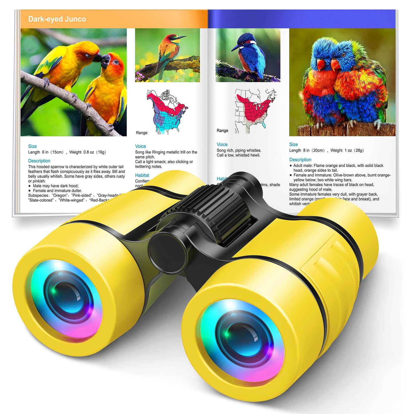 LET'S GO! Bird Watching Binoculars for Kids, Yellow, 4x30 Size, Perfect Outdoor Learning Toy for Ages 3-7, Great Preschool Gift