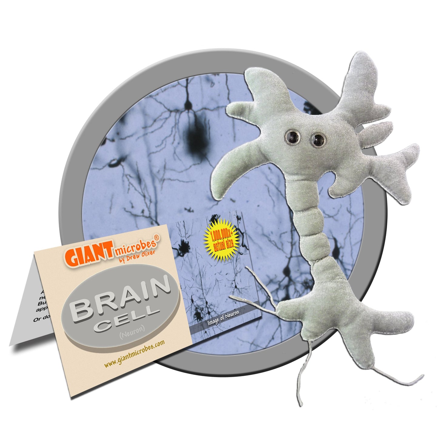 GIANTMICROBES Neuron Plush Toy, Brain Cell Model, 7" Grey Polyester, Neuroscience Gift