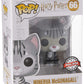 Funko Pop Movies: Harry Potter - Minerva Mcgonagall As Cat Collectible Figure, Multicolor
