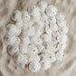 Tumbler Home Small Natural White Sand Dollars - 100 Pcs - Wedding Sea Shell For Craft 1 1/4'' To 1 1/2'' - Real Sanddollars Hand