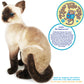 TigerHart 14 Inch Stuffed Siamese Cat Plush Toy - White Polyester Material