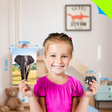 15 Pcs Safari Animal Figurines With 15 Introducing Flashcards, Realistic Zoo Animal Figures Montessori Toys Science Educational Matching Game For Homeschool Preschool Toddler Kids