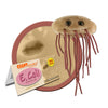 GIANTMICROBES E. Coli Plush Toy - Green, Soft Plush Material - Educational Gift for Families, Teachers, and Students - Model FBA_GMUS-PD-0220