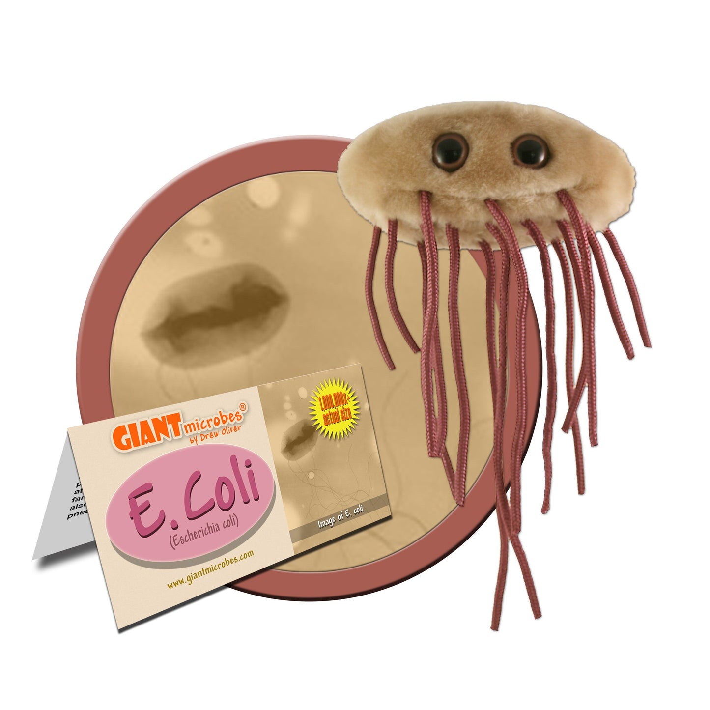 GIANTMICROBES E. Coli Plush Toy - Green, Soft Plush Material - Educational Gift for Families, Teachers, and Students - Model FBA_GMUS-PD-0220