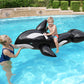 H2Ogo! Jumbo Whale Rider Inflatable Pool Float