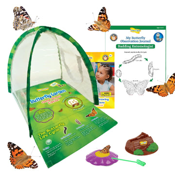 Insect Lore Butterfly Garden Experience | No Fee Prepaid Voucher | Redeem Raise And Release 5 Baby Painted Lady Caterpillars | O