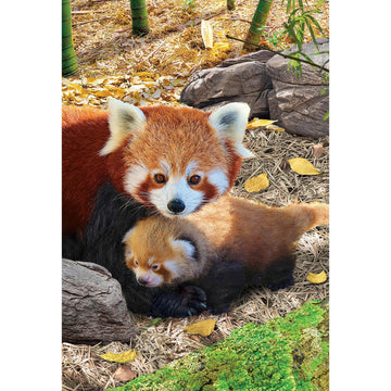 Eurographics Red Pandas 250-Piece Puzzle