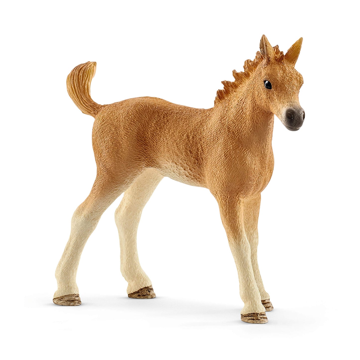 Sarahs Baby Animal Care With Quarter Horse