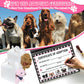 Jiytivity 38 Pcs Adopt A Puppy Favors Include 12 Foldable Puppy Boxes 12 Mini Dog Stuffed 12 Adopt Cards 1 Adopt Sign1 Fence For