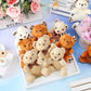 Skylety 16 Pcs Mini Plush Bear Bulk 4 Inch Bear Stuffed Animal Toy Doll Small Soft Bear Keychain For Birthday Baby Shower Weddin