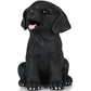 H&W Black Labrador Dog Coin Money Bank, Shatterproof Dog Piggy Bank, Creative Money Bank, Can Store 1000 Coins, Best Bitrthday Gift (Wk34-D3)